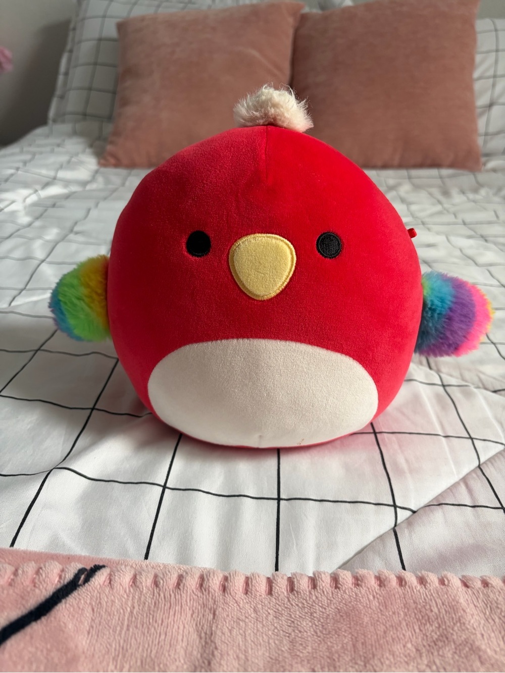 Paco the red parrot with Rainbow Wings